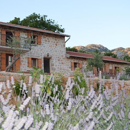 Villa Mara - Secluded House With Breathtaking View- Seline, Starigrad Paklenica 외부 사진
